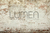 Fundo Fotográfico MICHI LMMICHI06