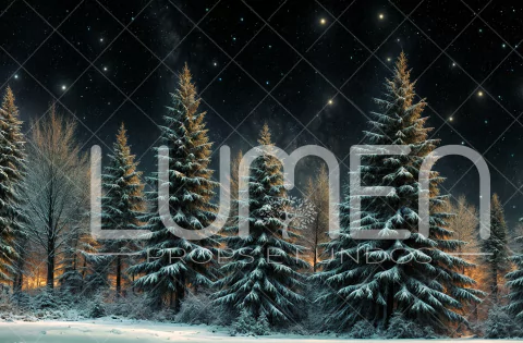 FUNDO FOTOGRÁFICO NATAL MUCHON LMNTMU06