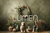 Fundo Fotográfico Pascoa OVELHAS LMOVEL03