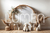 Fundo Fotográfico Pascoa OVELHAS LMOVEL04