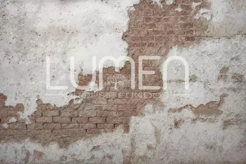 FUNDO FOTOGRÁFICO PAREDES LMPRD054