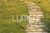 Fundo Fotográfico PASCOA 25PSC122CH - comprar online