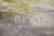 Fundo Fotográfico Pascoa LMPSC044CH