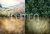 Fundo Fotográfico QUARTETO LMQUA011