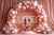 Fundo Fotográfico SMASH 25SMH61 - comprar online