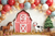 Fundo Fotográfico SMASH 25SMH79 - comprar online