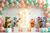 Fundo Fotográfico SMASH 25SMH82 - comprar online