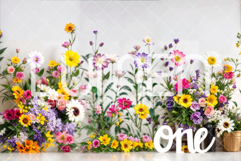 FUNDO FOTOGRÁFICO SMASH LMSMH032