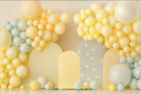 FUNDO FOTOGRÁFICO SMASH LU 25LMNV231 - comprar online