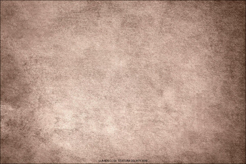 FUNDO FOTOGRÁFICO TEXTURA 25LMTEX010 - comprar online