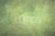 Fundo Fotográfico TEXTURA LMPTEX021