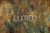 Fundo Fotográfico TEXTURA LMPTEX022