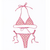 Bikini Track Pink en internet