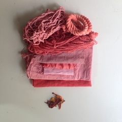Laboratorio de Tintes Naturales