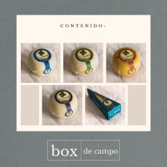 BOX de campo en internet