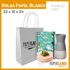 Bolsas de Papel 18x08x20 Personalizadas 2 Caras x 2 Colores - comprar online