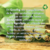 Imagen de REPUESTO DEL DIFUSOR DE AROMAS 250 ml