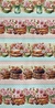 BARRADOS DOCES FLORIDOS - faixas - barrados - Tricoline Digital - 0,50 cm x 1,50 cm