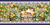 BARRADOS LIMÃO SICILIANO - exclusiva PANO PRA MANGGA - estampa digital - 0,55 cm x 1,50 cm na internet