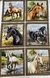 COLEÇÃO HORSE - PAINEL CAVALOS -Tricoline Digital - 0,90m X 1,50m -