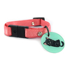 Collar para gatito