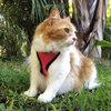 Pechera para gato Rosa