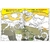Colorindo os Incríveis Dinossauros - comprar online