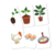 Cartas Educativas - Sequência Lógica - comprar online