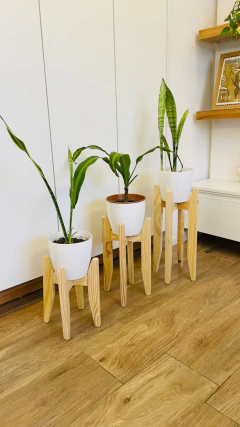 Pack x 3 Porta macetas + 3 Macetas N.18