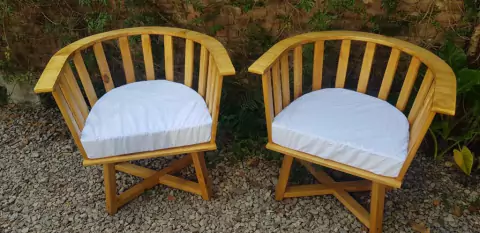 2 Sillones Gervasoni con almohadones