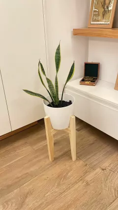 Pie Porta Maceta 40 Cm + Maceta Nro 22