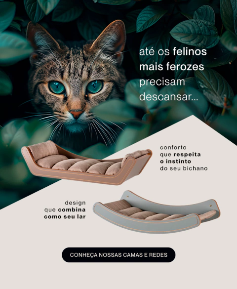 Carrossel 1