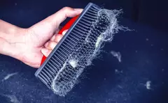 Cepillo De Goma Maxshine Quita Pelusas Y Pelos De Mascotas - comprar online