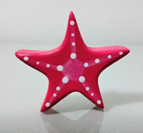 Estrela do mar - comprar online