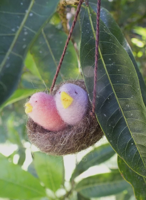 Kit nascimento dos pássaros