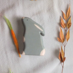 Coelho cinza (avulso) na internet