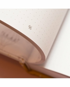 Bullet Journal ARI en internet