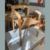 Silla Bali Madera - comprar online