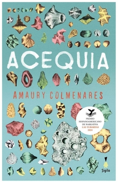 acequia - amaury colmenares