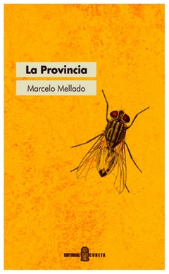 la provincia - marcelo mellado