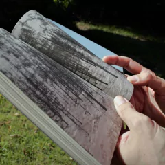 BAM. Un viaje a través de la nada, por Jalle Brandt Corstius en internet