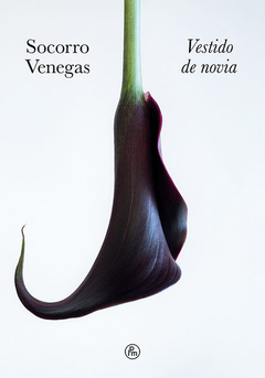 PREVENTA: Vestido de Novia - Socorro Venegas