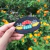 Patch Central Perk (Friends) na internet