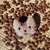 Broche de Pelúcia Gatinho Cinza na internet