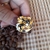 Pin Grifo