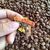 Pin Avião "Free Your Soul"