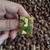Pin Monalisa