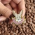 Pin Eevee (Pokémon)