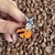 Pin Aang (Avatar)