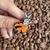 Pin Aang (Avatar) - comprar online